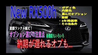 ★RX500h契約公開★～◆総額1千万越えの国産SUV⁉◆～ [upl. by Htezil578]