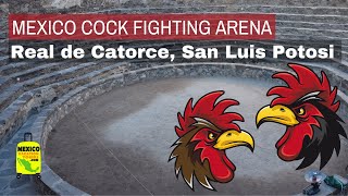 Real de Catorce San Luis Potosi Cock Fight Arena  MEXICO wMike Vondruska  Travel Clip [upl. by Asilrac]