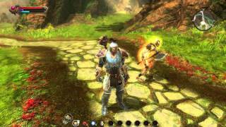 Kingdoms of Amalur Reckoning V1002 Trainer 7 [upl. by Sivahc447]