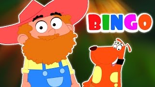 Bingo den Hund Song  Kompilierung für Kinder  Beliebte Kinderreim Bingo Rhyme [upl. by Sudhir]