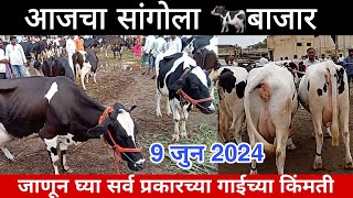 आजचा सांगोला बाजार 9 जुन 2024  जाणून घ्या गाईच्या चालू किंमती [upl. by Woolley]