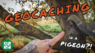 This Geocache was Quackers  UK Geocaching Vlog [upl. by Eselahc]