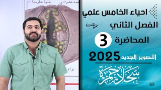 احياء الخامس علمي 2025 الفصل الثاني  المحاضرة 3  التنفس في النبات [upl. by Johnna]