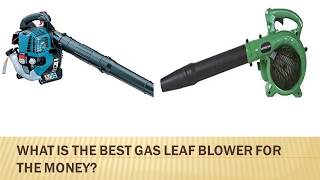 What is the Best Gas Leaf Blower for the money [upl. by Einneg576]