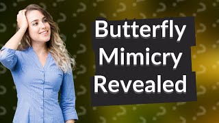 What is an example of Batesian mimicry in butterflies [upl. by Llesram]