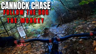 Cannock Chase MTB Follow the Dog amp The Monkey [upl. by Iaka467]