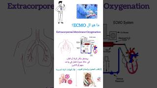 جهاز الايكمو ECMO Machine [upl. by Sezen]