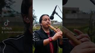 Soleado coversong instrumental panflute quenacho like suscribete davidmoralessk relax [upl. by Knuth]