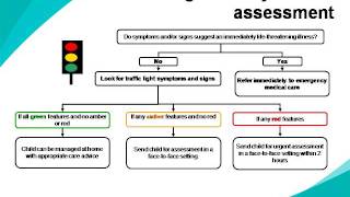 Feverish Illness in Children  NICE Guidance [upl. by Kerin]