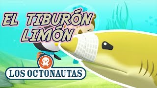 Los Octonautas Oficial en Español  El tiburón Limón perdido  Episodio 42 [upl. by Eamaj641]