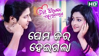 PREMA JARA HEIGALA  ପ୍ରେମ ଜର ହେଇଗଲା  Sidharth TV [upl. by Nisior523]