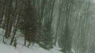 A run down Salamander at Timberline Ski Resort Davis WV [upl. by Nwadrebma]