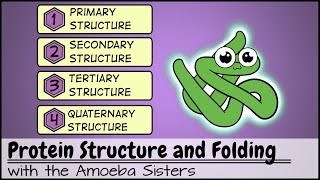 Protein Structure and Folding [upl. by Htrowslle16]