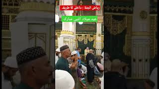 Salam at Roza Rasool SAW and Dua at Riaz ul Jannah youtubevideos fyp shorts islam Quran [upl. by Joelynn559]