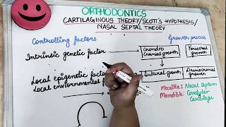 cartilaginous theory of growth  dental lectures [upl. by Vergil519]