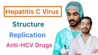 Hepatitis C Virus HCV  Structure  Replication [upl. by Ynehpets200]