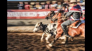 CABALLITO DE PALO CAMPEONATO NACIONAL ESCOLAR [upl. by Ellehcim]