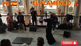 FLAMENCO de Sevilla España 2023 Ep252  Plaza de España flamenco sevilla pblove [upl. by Laehcym]