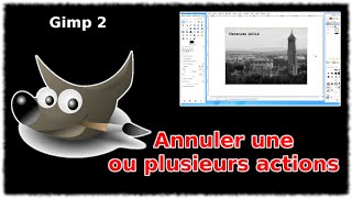 Tuto Annuler une ou plusieurs actions Gimp 28 [upl. by Ahsets]