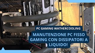 Manutenzione PC GAMING con RAFFREDDAMENTO a LIQUIDO Ek x LianLi [upl. by Eidualc897]