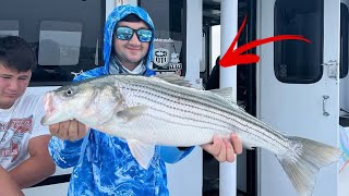 The Best Baits To Catch Striped Bass On [upl. by Ambrosine]