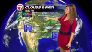 WSVN Weather Julie Durda 12302011 [upl. by Tristas]