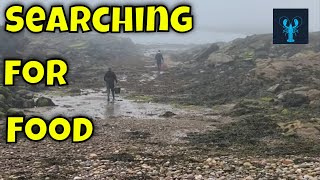 Incredible day Rock Fishing [upl. by Dennett139]