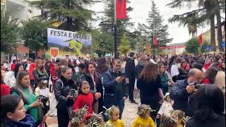 Organizohet quotFesta e Ulliritquot në Mallakastër Fermerët ekspozojnë prodhimet e ullirit [upl. by Edrahs274]