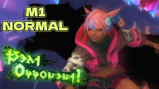 Final Fantasy XIV  Arcadion Light Heavyweight M1 NORMAL [upl. by Ilrebma]