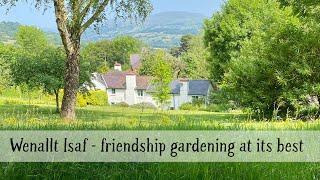 A garden visit to Wenallt Isaf Gwent [upl. by Nydroj83]