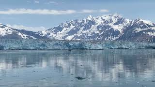 20240627 Hubbard Glacier Alaska 31 [upl. by Cook]