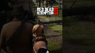 VOCÊ SABIA QUE PODE SER FEITO UM MILAGRE EM RED DEAD REDEMPTION 2 [upl. by Lambard617]