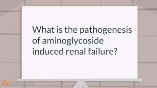 How do aminoglycosides cause renal failure [upl. by Schilit]