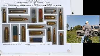 Bullet Challenge Target 1022 CCI Std Vel Ammo 50Y [upl. by Fredenburg]