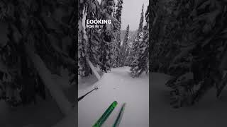 Follow for more powder skiing content  revelstoke skibum skiingislife revelstoke revelstoked [upl. by Gillan143]