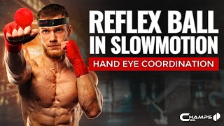 Boxing Reflex Ball in Slow Motion  Hand Eye Coordination Training [upl. by Evy]