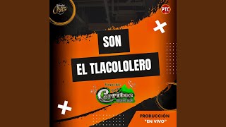 Son El Tlacololero [upl. by Letnwahs]