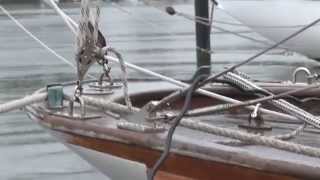 Kieler Woche 2014  Klassische Yachten segeln um die Wette [upl. by Rame]