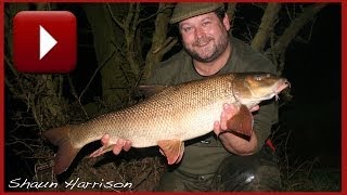 BARBEL FISHING  FREE SPIRIT River Barbel [upl. by Acinorahs778]