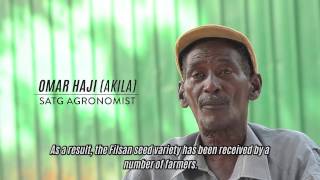 Life of an Agronomist in Afgooye Somalia quotReviving the knowledgequot [upl. by Airdnassac]