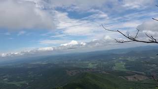 가을 억새축제로 유명한 충남 오서산 억새밭의 바람과 구름 Wind and Clouds Blowing on Pampas Grass Field in mountain [upl. by Zwiebel]