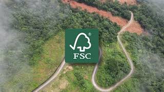 FSC and Packaging Advancing Sustainable Packaging Solutions [upl. by Enail85]