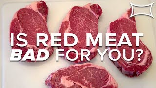 Is RED MEAT Bad For You  Stan Efferding amp Damon McCune Talk Beef Cancer amp Cholesterol [upl. by Gaither]