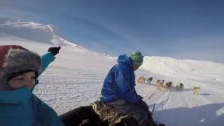 Dog Sledding in Greenland [upl. by Arela24]