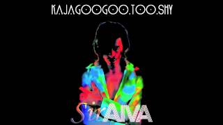 Kajagoogoo  Too Shy  SirAiva Remix [upl. by Milt]