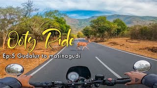 Bike ride through Gudalur to masinagudi Ep5  Ooty trip  ooty masinagudi gudalur ​bike ride [upl. by Akeem367]