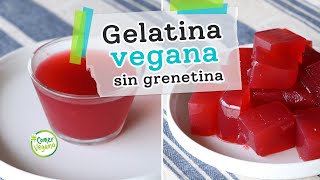 CÓMO HACER GELATINA VEGANA SIN GRENETINA  Libre de tendones uñas y huesos de animales [upl. by Nosnehpets799]