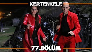 Kertenkele 77 Bölüm [upl. by Farhi]