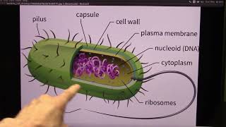 New Research on Cancer and Health via the Microbiome from the University of California [upl. by Bartolome795]