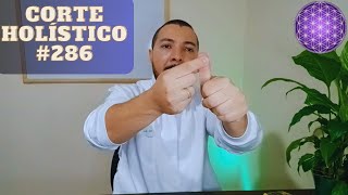 Corte Holístico 286 Reflexologia Palmar para Dor nas Costas [upl. by Ikkin33]